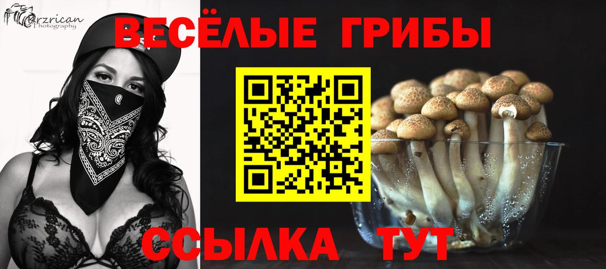 Галлюциногенные грибы Magic Shrooms  Вход с VPN  Шатура 